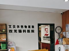 -艾贝尔宠物医院·24H转诊中心·肿瘤猫专科(江宁双龙店)