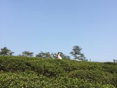 -汤山温泉房车营地 茶温泉