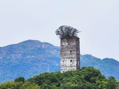 -江心屿景区