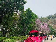 -南沙天后宫景区