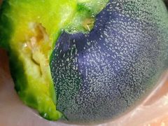 -新隆嘉 供销超市(修竹商场店)