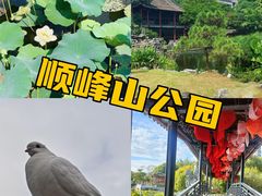 -阳辉里·鸡包饭·顺德菜庭院餐厅·瓦缸烧鸡