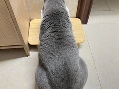 -宠颐生宠物医院外科·内科·皮肤科·影像科(石龙店)