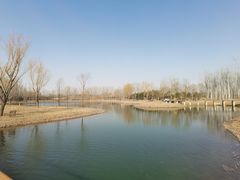 -东郊湿地公园