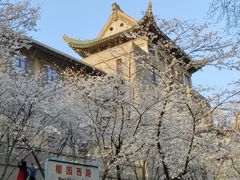 -武汉大学-樱园