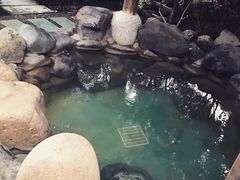-张家港金凤凰度假村温泉