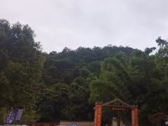 -普者黑风景区-青龙山