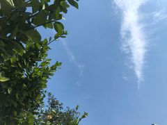 -糖房咖啡(南锣鼓巷店)