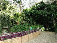 -大连森林动物园