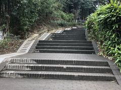 -伯先公园