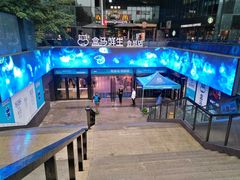 -盒马鲜生(杭州运河上街店)