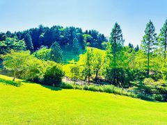 -神户市立六甲山牧场