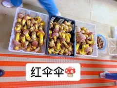 -双喜农庄·菌香园(安居家园店)