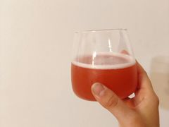 草莓Gose-TINY