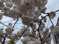 -木塔寺遗址生态公园