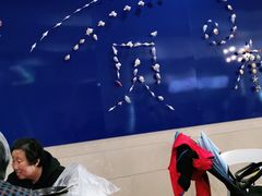 -贝林大翅鲸简餐厅(国家海洋博物馆店)