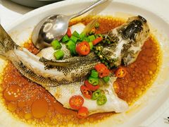-湛江菜.江南首席(昆山店)
