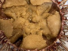 -海胆小馆(东北水饺·春柳店)