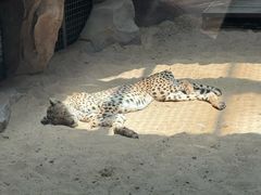 -鄂尔多斯野生动物园