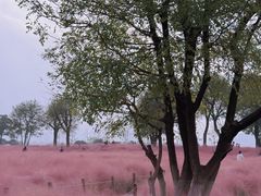 -汉长安城未央宫国家考古遗址公园