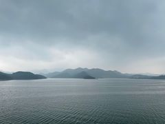 -望湖烤鱼