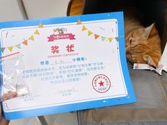 -纳吉亚猫专科动物诊疗中心(蒋宅口分院)