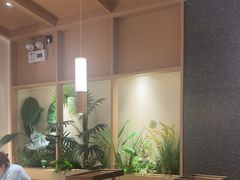 -好彩猪肚鸡(正弘城店)