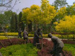 -武清南湖绿博园