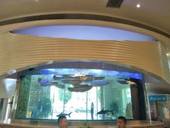 -诺贝尔一诺口腔医院(雁塔院区)
