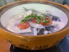 -全乐鱼馆·淳牌有机鱼直营店