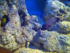 -福州罗源湾海洋世界旅游区