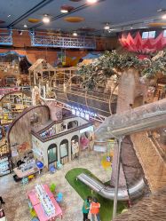 -卡通尼·Safari非洲探索乐园·生日会(金桥国际商业广场店)