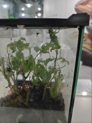 -神奇动物撸宠馆·羊驼·小浣熊·异宠(豫园店)