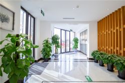 点击看大图 -皙塑美肤·spa