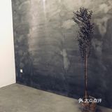 不懂咖啡不适合来这里