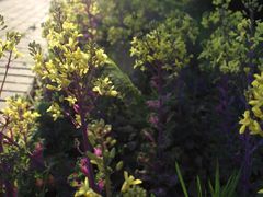 -帐篷客·溪龙茶谷度假酒店