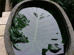 -柏联酒店