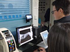 -西安京西宠物医院·瘫痪·疑难杂症