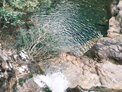 -鼎湖山风景区
