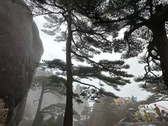 -黄山玉屏楼宾馆餐厅