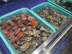 -船歌·鱼水饺青岛菜(金狮广场店)