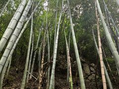 -沣峪森林公园龙潭戏水景区