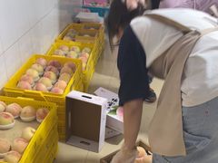 -老袁家蜜桃农场·阳山水蜜桃