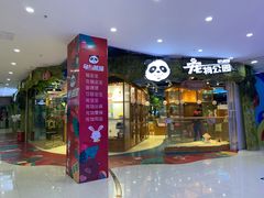 -龟与熊猫宠物公园(南坪店)