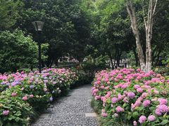 -常州古运河南大街文化旅游区-人民公园