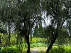-百翠山居.家飨餐厅