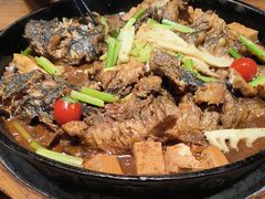 -老板恋上鱼(恒隆广场店)