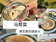 -马帮菜馆·美味野生菌