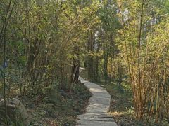 -中山市树木园