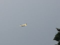 -成飞公园